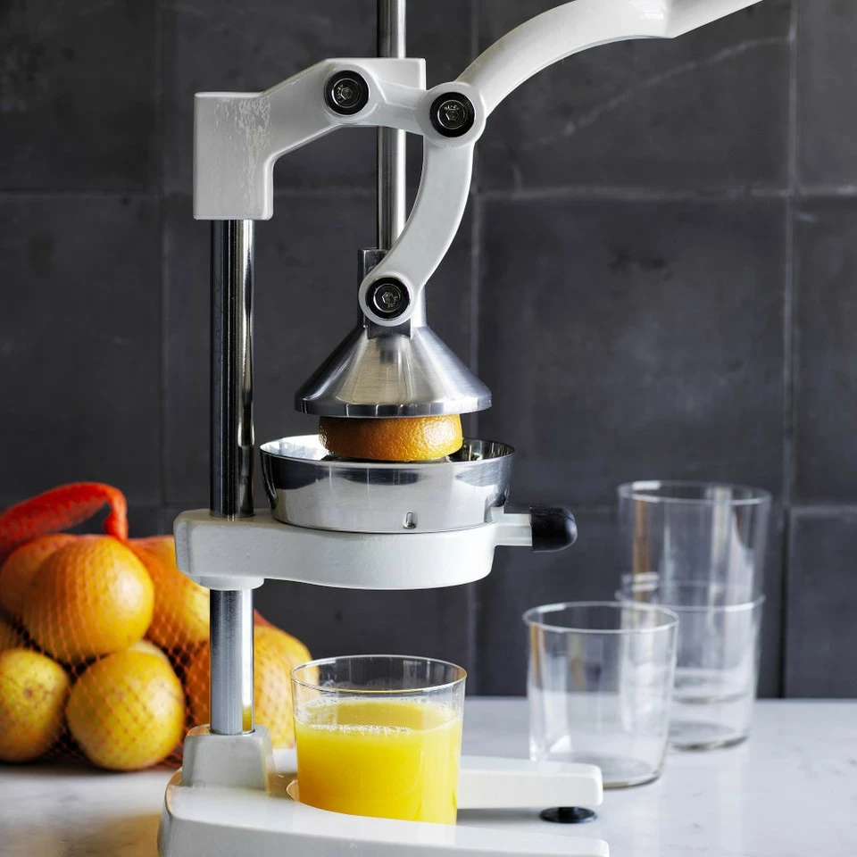 OrangeX Juicer 4 OrangeX Juicer - Image 3