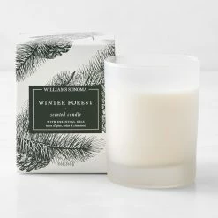 Williams Sonoma Winter Forest Candle