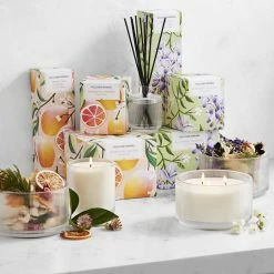 Williams Sonoma Garden Party Collection Fragrance Diffuser, Blooming Wisteria